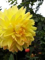 20200903_172139.webp