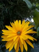 20200910_185414.webp