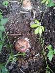20200907_181857.jpg