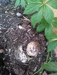 20200907_181931.jpg