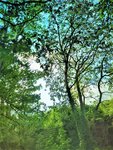 IMG_20200910_150843_3~2.jpg