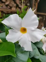 20200908_182204.webp