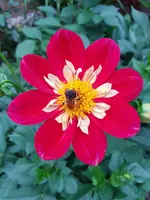 20200908_182252.jpg