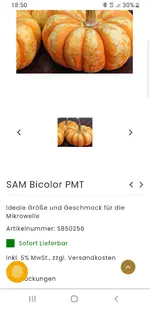 Screenshot_20200911-185059_Chrome.webp