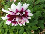 20200909_173807.jpg
