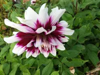 20200909_173807.webp
