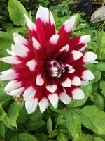 20200909_173801.webp