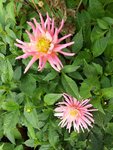 20200909_173752.jpg