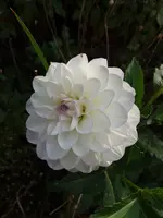 20200909_173736.webp