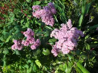 DSCF4119 (2).webp