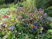 DSCF4090 (2).webp
