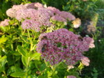20200912_173612.jpg