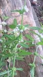 20200911_134023.jpg