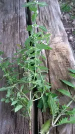 20200911_133942.webp
