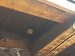 20200912_161441.jpg