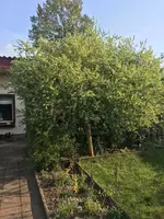 B1721824-C47D-4015-81CB-10932D5F8651.webp