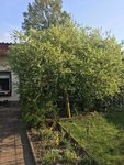 B1721824-C47D-4015-81CB-10932D5F8651.jpeg