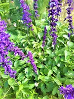 IMG_20200910_133846_1.webp