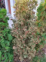 20200913_182840.webp