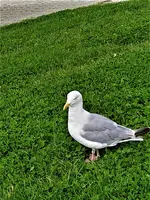IMG_20200911_134813_2.webp
