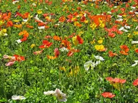 IMG_6643.webp