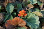 DSC00299.JPG
