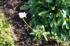 DSC00302.webp