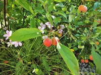 DSCF4135 (2).webp
