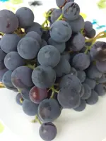 20200914_165556.jpg