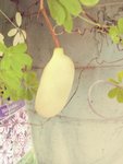 20200914_184823_Film4.jpg