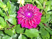 DSC01269.webp