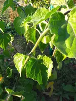 20200915_180948.webp