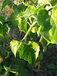 20200915_180948.jpg