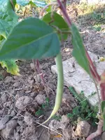 20200915_180905.webp