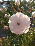 20200915_180727.jpg
