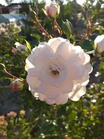 20200915_180727.webp