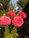 20200915_180554.jpg
