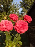 20200915_180554.webp