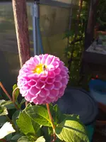 20200915_180502.webp
