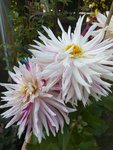 20200915_180442.jpg