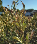 20200915_171313.jpg