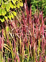 IMG_20200915_130738.jpg