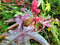 IMG_20200910_120903.webp