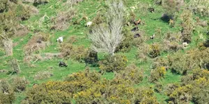 IMG_6787v (2).webp