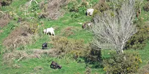 IMG_6788 v (2).webp