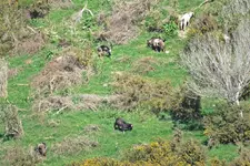 IMG_6790 v (2).webp