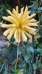 20200905_172230.jpg