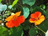 DSCF4136 (2).webp