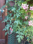 20200917_142600.jpg