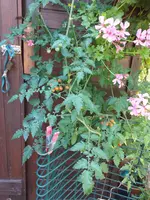 20200917_142600.webp